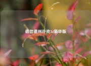德信德州扑克3d豪华版