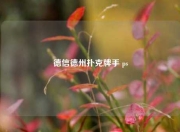德信德州扑克牌手 ps