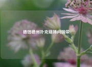 德信德州扑克赌博闫国荣