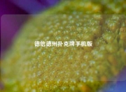 德信德州扑克牌手机版