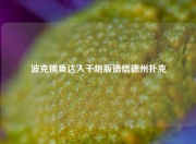 波克捕鱼达人千炮版德信德州扑克