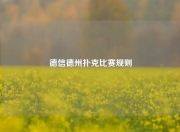 德信德州扑克比赛规则