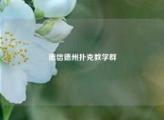 德信德州扑克教学群