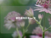 德信德州扑克dan 少