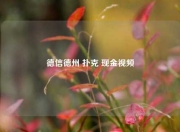德信德州 扑克 现金视频