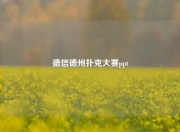 德信德州扑克大赛ppt