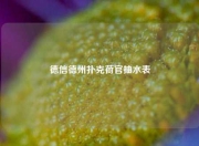 德信德州扑克荷官抽水表