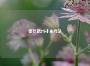 德信德州扑克网站