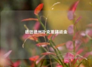 德信德州扑克重建资金