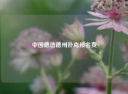 中国德信德州扑克报名费