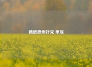 德信德州扑克 限底