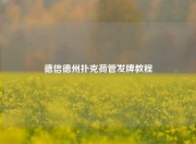 德信德州扑克荷管发牌教程
