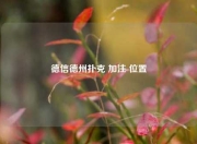 德信德州扑克 加注 位置