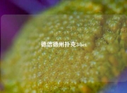 德信德州扑克3-bet