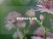德信德州扑克 游戏