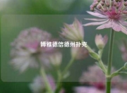 博雅德信德州扑克