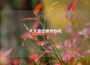 天天德信德州扑克