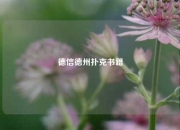 德信德州扑克书籍