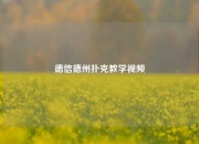 德信德州扑克教学视频