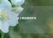 线上德信德州扑克