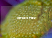 德信德州扑克牌型