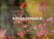 竞技联盟德信德州安卓扑克