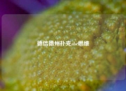 德信德州扑克abc思维
