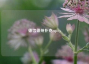 德信德州扑克equity