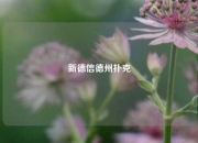 新德信德州扑克