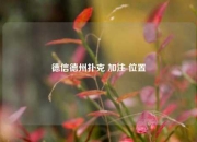 德信德州扑克 加注 位置