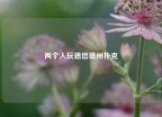 两个人玩德信德州扑克