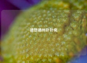 德信德州扑扑克