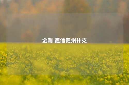 金刚 德信德州扑克