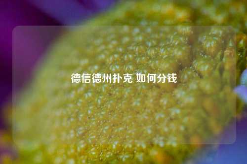 德信德州扑克 如何分钱