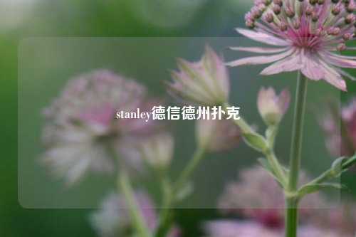 stanley德信德州扑克