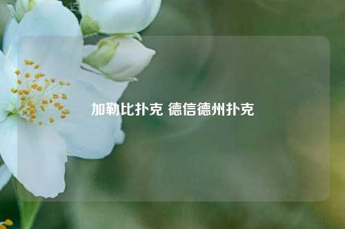 加勒比扑克 德信德州扑克