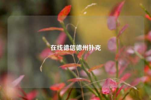 在线德信德州扑克