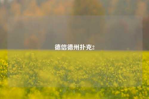 德信德州扑克2