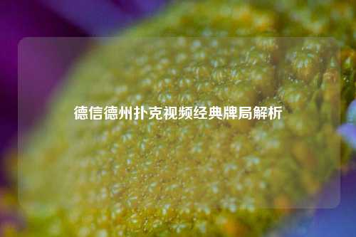 德信德州扑克视频经典牌局解析