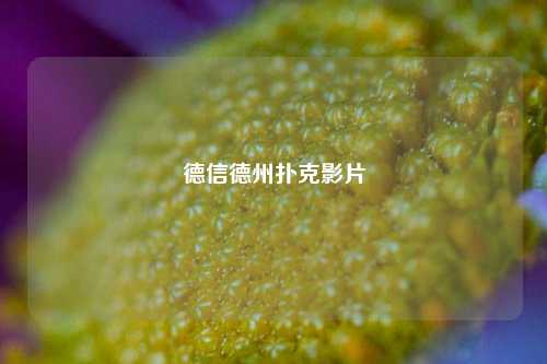 德信德州扑克影片