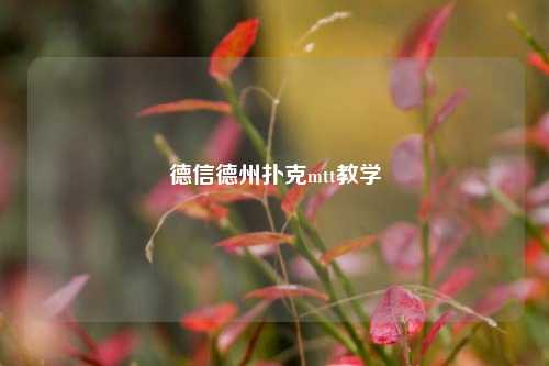 德信德州扑克mtt教学