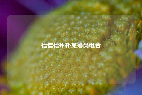 德信德州扑克筹码组合