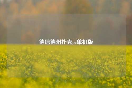 德信德州扑克pc单机版