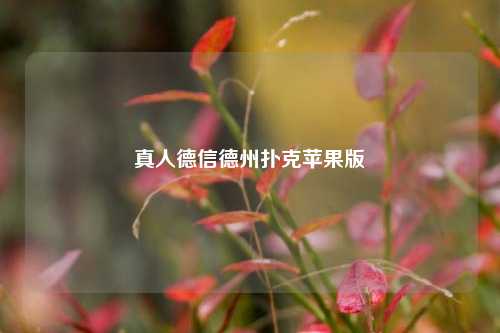 真人德信德州扑克苹果版