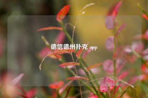 德信德州扑克 app