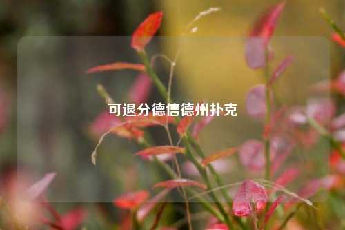 可退分德信德州扑克