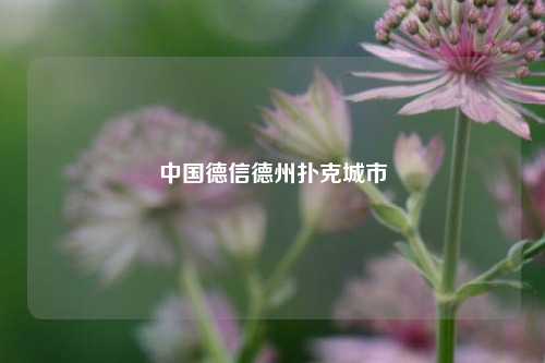中国德信德州扑克城市