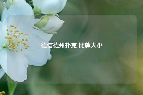 德信德州扑克 比牌大小