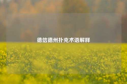 德信德州扑克术语解释