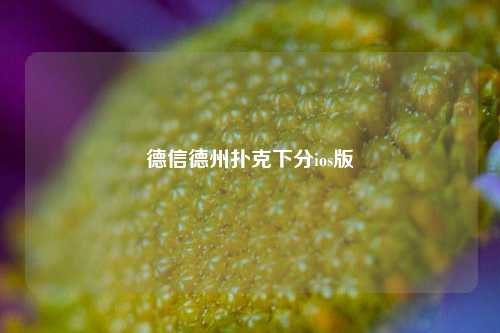 德信德州扑克下分ios版